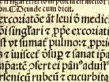 Image of a piece of a manuscript featuring Roman characters.