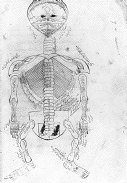 Hand drawn skeleton, drawn in red and black ink, viewed from behind with the head hyperextended so that the face looks upward.