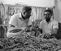 Two African American men discuss while working with crops.