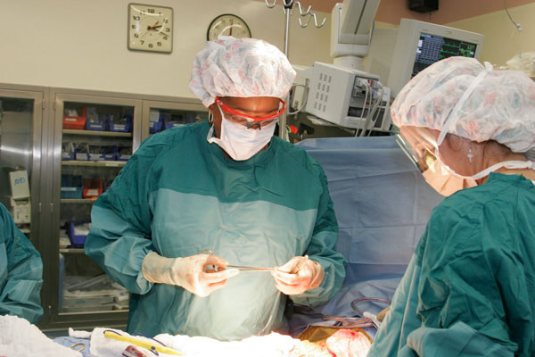 Two people working in a surgeon room.