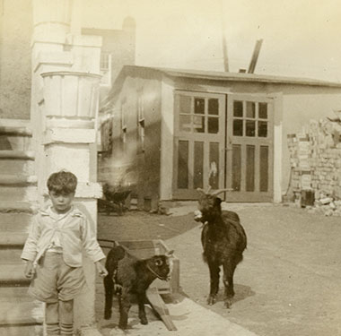 Female nurse coming down front steps of a walk-up house, young boy and two goats in alleyway.
