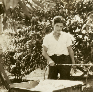 Young man with dark hair pushing a large baby carriage on a tree-lined sidewalk.