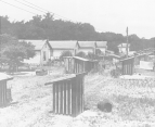 Sanitary privies along the back property lines of an agricultural migrant village.