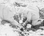 Two workers crouch on the ground examining materials in the dirt; they wear white coveralls and hoods with windows in them, gloves and boots.