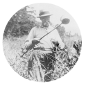 A black and white photograph of Henry R. Carter, three-quarter length, wearing a hat and glasses, and standing in a field; he is holding a long stick with a cup on the end, collecting mosquito larvae.