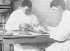 Two men, wearing white lab smocks, are seated at a talbe in the Rocky Mountain Laboratory. The man on the left is injecting a needle into a guinea pig while the other man holds the guinea pig still.