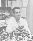 Dr. Marshall W. Nirenberg, half-length, turned slightly to right; seated at desk in front of protein models.
