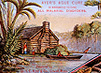 Bayou scene with a log cabin while an alligator and 2 toads sip from a glass bottle.