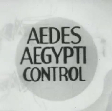 Title card showing the words "Aedes Aegypti Control"