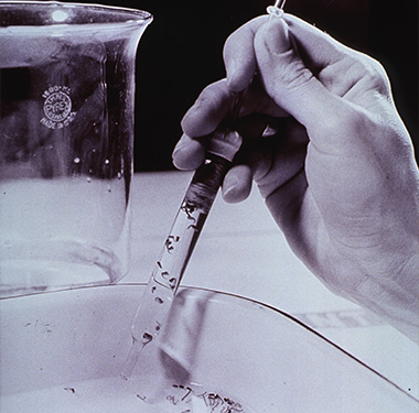 A photo of a white person’s hand holding a pipette full of mosquito larvae in liquid