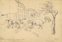A drawing of two dogs, a pig and a piglet, and a horse milling about a city street