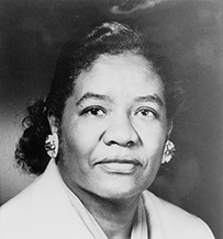 Dr. Dorothy Lavinia Brown, an African American female posing for her portrait.
