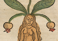 A long haired woman with leaves and bulbs coming out of her head.