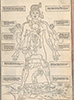 A diagram of the human body with smaller images of men to represent zodiac signs.
