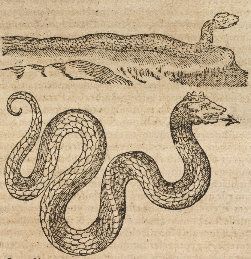 Illustration of a serpent with an arrow as a tongue.