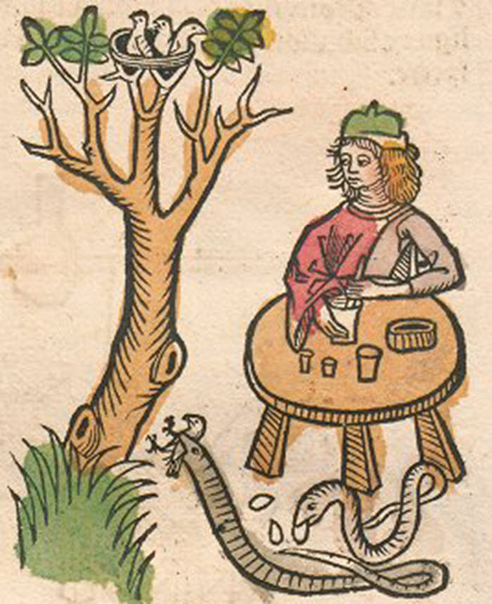 Illustration from page of a man at a table next to a serpent and tree.