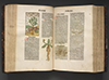 Pages of a book with text and illustrations of plants.