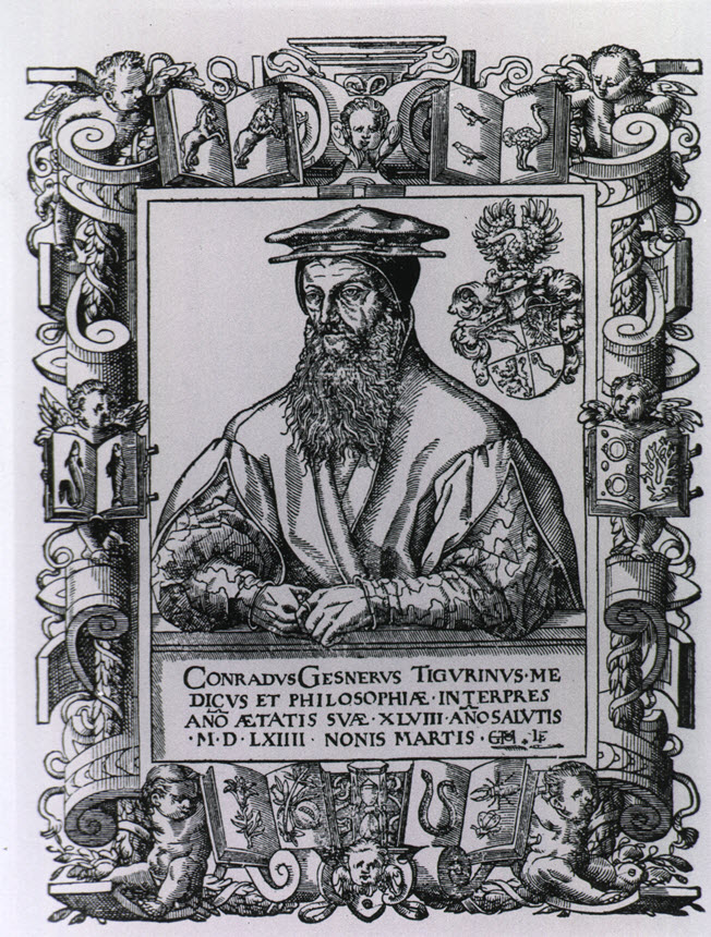 Portrait of bearded man wearing a cap.