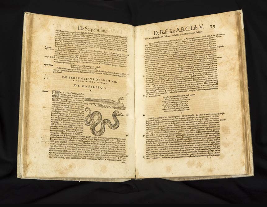 Pages of a book showing Latin text and a serpent with an arrow as a tongue.