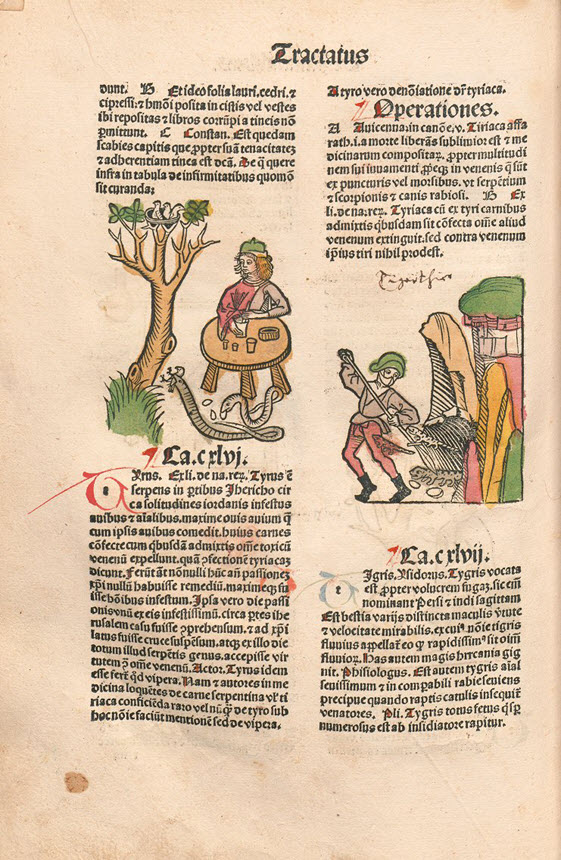 Page of book with Latin text and illustration of man at a table next to a serpent and tree.