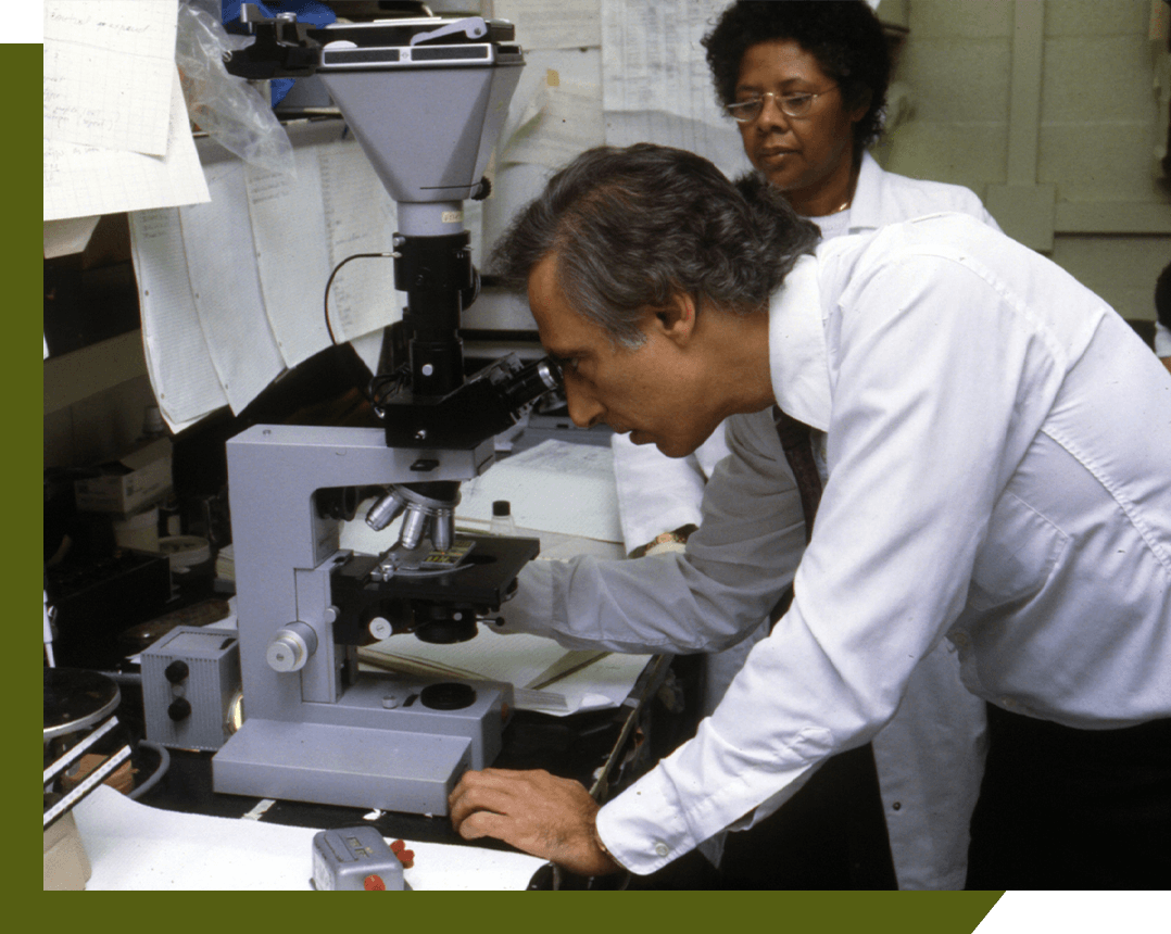 El Dr. Robert C. Gallo usa un microscopio en una oficina mientras una mujer está de pie a su lado.