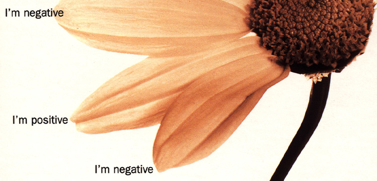 Color photograph of a yellow sunflower, with half the petals missing, “I’m positive” and “I’m negative” alternate by each of the remaining petals.   