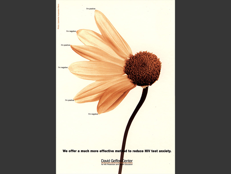 Color photograph of a yellow sunflower, with half the petals missing, “I’m positive” and “I’m negative” alternate by each of the remaining petals.  