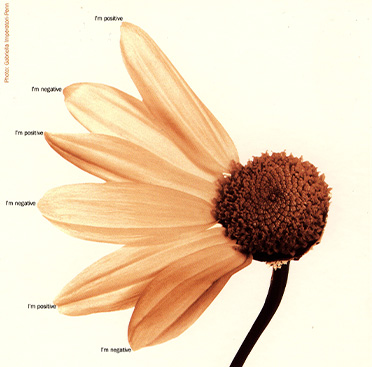 Color photograph of a yellow sunflower, with half the petals missing, “I’m positive” and “I’m negative” alternate by each of the remaining petals.  