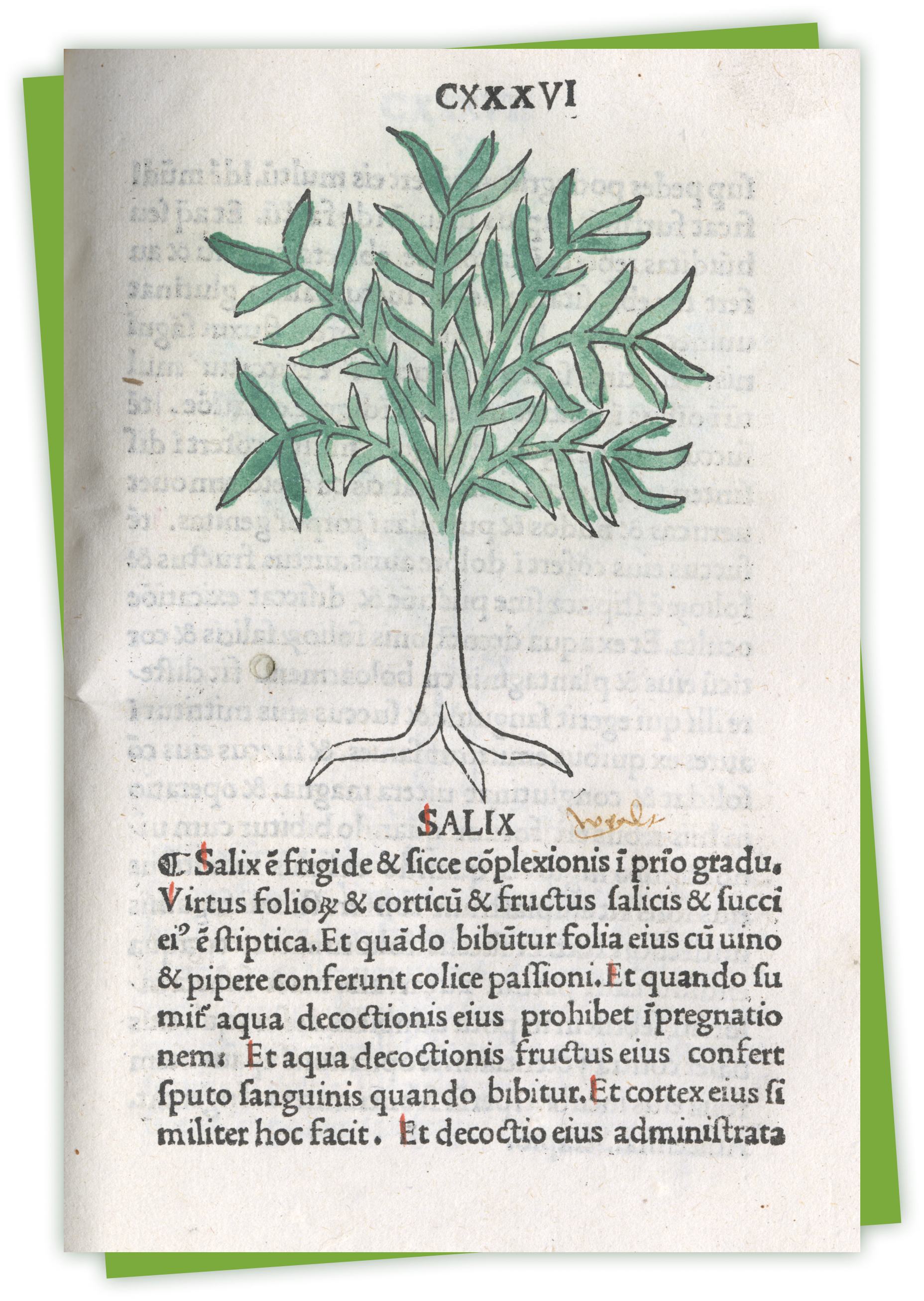 A book page showing a color illustration of a tree with text underneath