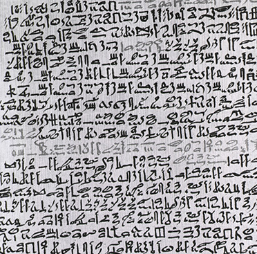 A page of hieroglyphics on a papyrus