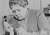 Mrs. Frances Glessner Lee at work on the Nutshell Collection, 1940s-1950s