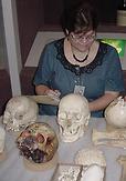 Lenore Barbian, Ph.D. working with the specimens in the collections of the National Museum of Health and Medicine