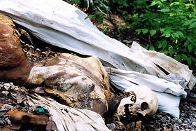 Partially decomposed corpse, 2003