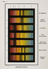 Chart showing the spectra of different types of blood samples, 1894