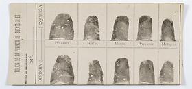 Fingerprint card, Francisca Rojas (Individual dactiloscópica de Francisca Rojas), 1892
