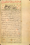 Folio 1b from  Muḥammad ibn Thālib al-Shīrāzī's Fawā’id al-ḥasanīyah fī al-mujarrabāt al-ṭibbīyah (Useful Information for al-Hasan on Tested Medical Remedies). The text is written in script in black ink with headings in red within green frames.