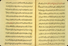 Folios 2b and 3a from Jalāl al-Dīn Muḥammad al-ṭabīb al-Iṣfahānī's al-Dastūr al-Jalālī. The glossy ivory paper has horizontal laid lines, single chain lines, and is watermarked (with a shield). The paper is slightly waterdamaged. The text is written in a medium-large naskh script in black ink with headings in red. The text are has been frame-ruled.