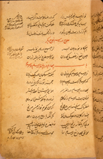 Folio 14a from Shihāb al-Dīn Nāgawrī's Shifā’ al-maraḍ. The glossy, beige paper is thin and rather brittle, with very wavy laid lines but no visible chain lines.  The text is written in two columns in a medium-small ta‘liq script, professionally and carefully executed with dense black ink and headings in red. There are notes in the left margin.