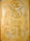 Folio 20a of Ibn Ilyās' Tashrīḥ-i badan-i insān (The Anatomy of the Human Body) featuring the muscle figure, shown frontally, with extensive captions describing the muscle. The paper is thick, creamy, opaque and burnished with faint irregular laid lines.