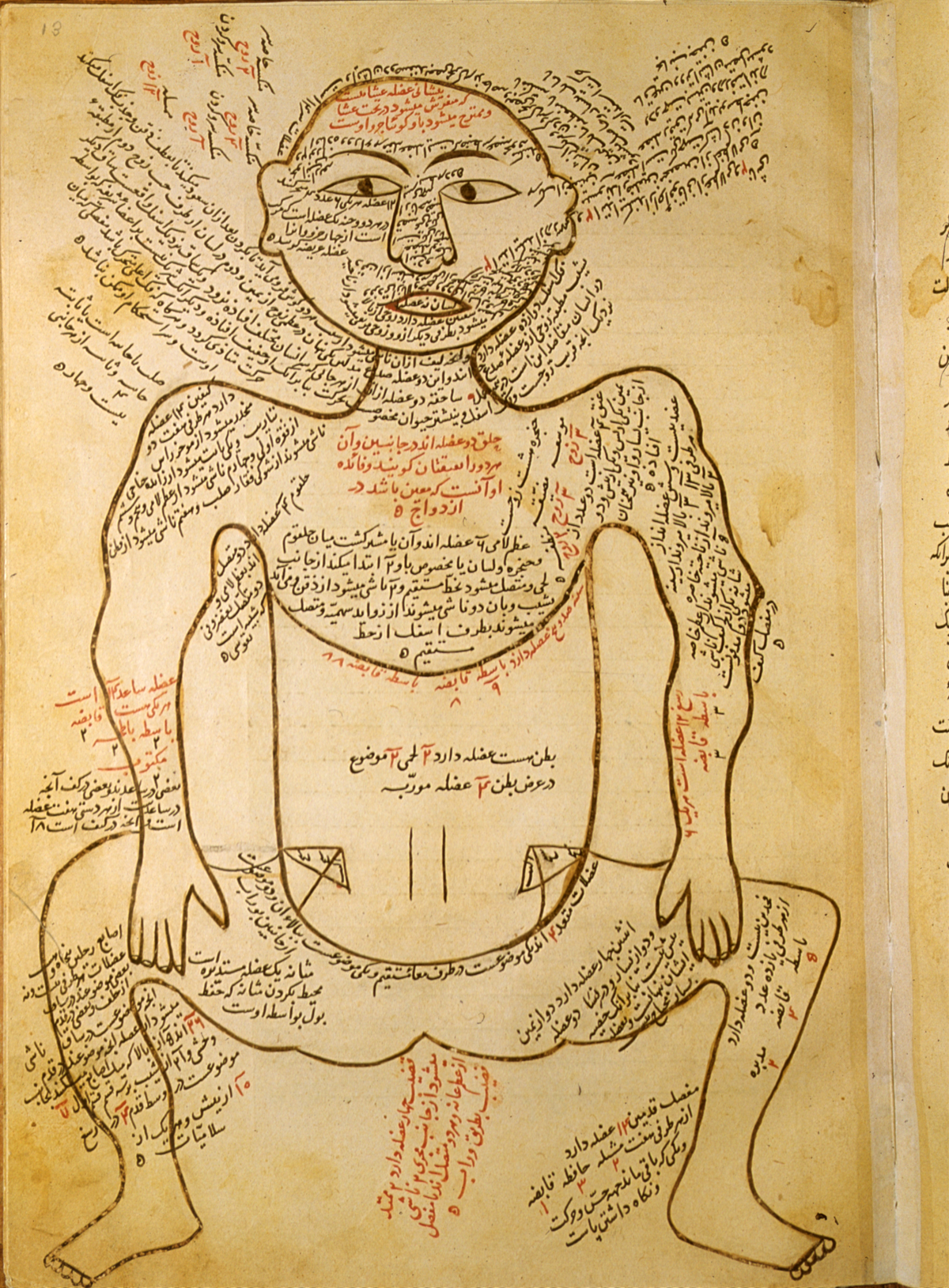 Islamic Medical Manuscripts in the NLM - MS P 19