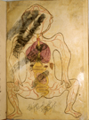 Folio 18a of Ibn Ilyās' Tashrīḥ-i badan-i insān (The Anatomy of the Human Body) featuring the figure of a pregnant woman. This is essentially the arterial figure on which a gravid uterus with the foetus in a breech or transverse position has been superimposed. The illustration is slightly defaced. The paper is smooth, strong, opaque, fairly thick, and burnished.
