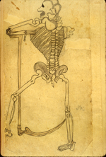 Folio 559a from MS P 20 featuring a drawing in ink and light-gray wash of a skeleton leaning on a scythe.