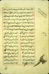 Folio 83b of Abū al-Qāsim Muḥammad ibn ‘Abd Allāh al-Anṣārī's Sharḥ Shudhūr al-dhahab (Commentary on the poems 'Nuggets') featuring a glass alembic or still-head illustrated in the right margin. The very glossy, thin, biscuit paper has thin vertical laid lines and single chain lines. The text is written in a medium-small naskh script, using black ink with headings in red and red overlinings. The text is written within a frame of single red ink lines.