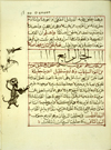 Page 55 from Kitāb al-Siyāsah fī ‘ilm al-farāsah wa-ashā’ir al-khayl wa-amā’irhā. The text is written in medium-large naskh script with headings either in a large script or in purplish-red ink; there are also small text stops in purplish-red ink. The text is written within frames of single purplish-red lines and the text area has been frame-ruled. In the left margin are drawing including a small human figure of a warrior.