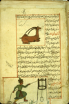 Folio 30a of of Zakarīyā’ ibn Muḥammad al-Qazwīnī's ‘Ajā’ib al-makhlūqāt wa-gharā’ib al-mawjūdāt  (Marvels of Things Created and Miraculous Aspects of Things Existing) featuring two zodiacal constellations, Capricorn above and Aquarius below drawn in opaque watercolors and ink within the text. The thin, fragile, beige paper has indistinct vertical laid lines. The text is written in a rather casual ta‘liq script with a tendancy toward naskh, using black ink with headings in red and red overlinings. The text is written within frames of double red lines, with some rectangular areas framed in single red lines and extending into the margins.