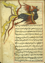 Folio 311a of of Zakarīyā’ ibn Muḥammad al-Qazwīnī's ‘Ajā’ib al-makhlūqāt wa-gharā’ib al-mawjūdāt  (Marvels of Things Created and Miraculous Aspects of Things Existing) featuring a simurgh drawn in opaque watercolors and ink at the top of the text. The thin, fragile, beige paper has indistinct vertical laid lines. The text is written in a rather casual ta‘liq script with a tendancy toward naskh, using black ink with headings in red and red overlinings. The text is written within frames of double red lines, with some rectangular areas framed in single red lines and extending into the margins