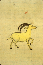 A fragment of folio 159a from Zakarīyā’ ibn Muḥammad al-Qazwīnī's Ajā’ib al-makhlūqāt wa-gharā’ib al-mawjūdāt (Marvels of Things Created and Miraculous Aspects of Things Existing) featuring an oryx. The thin, brittle, lightly glossed, fibrous, yellow-brown paper has horizontal laid lines.
