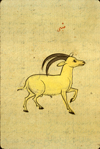 A section of folio 159a from Zakarīyā’ ibn Muḥammad al-Qazwīnī's Ajā’ib al-makhlūqāt wa-gharā’ib al-mawjūdāt (Marvels of Things Created and Miraculous Aspects of Things Existing) featuring an oryx. The thin, brittle, lightly glossed, fibrous, yellow-brown paper has horizontal laid lines.