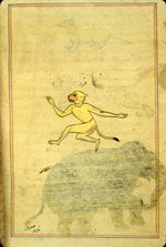 Folio 171b from Zakarīyā’ ibn Muḥammad al-Qazwīnī's Ajā’ib al-makhlūqāt wa-gharā’ib al-mawjūdāt (Marvels of Things Created and Miraculous Aspects of Things Existing) featuring a yellow monkey. The thin, brittle, lightly glossed, fibrous, yellow-brown paper has horizontal laid lines. The illustrations are set within frames of two red and one blue lines.