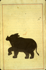 Folio 173a from Zakarīyā’ ibn Muḥammad al-Qazwīnī's Ajā’ib al-makhlūqāt wa-gharā’ib al-mawjūdāt (Marvels of Things Created and Miraculous Aspects of Things Existing) featuring a rhinoceros (karkaddan). The thin, brittle, lightly glossed, fibrous, yellow-brown paper has horizontal laid lines. The illustrations are set within frames of two red and one blue lines.